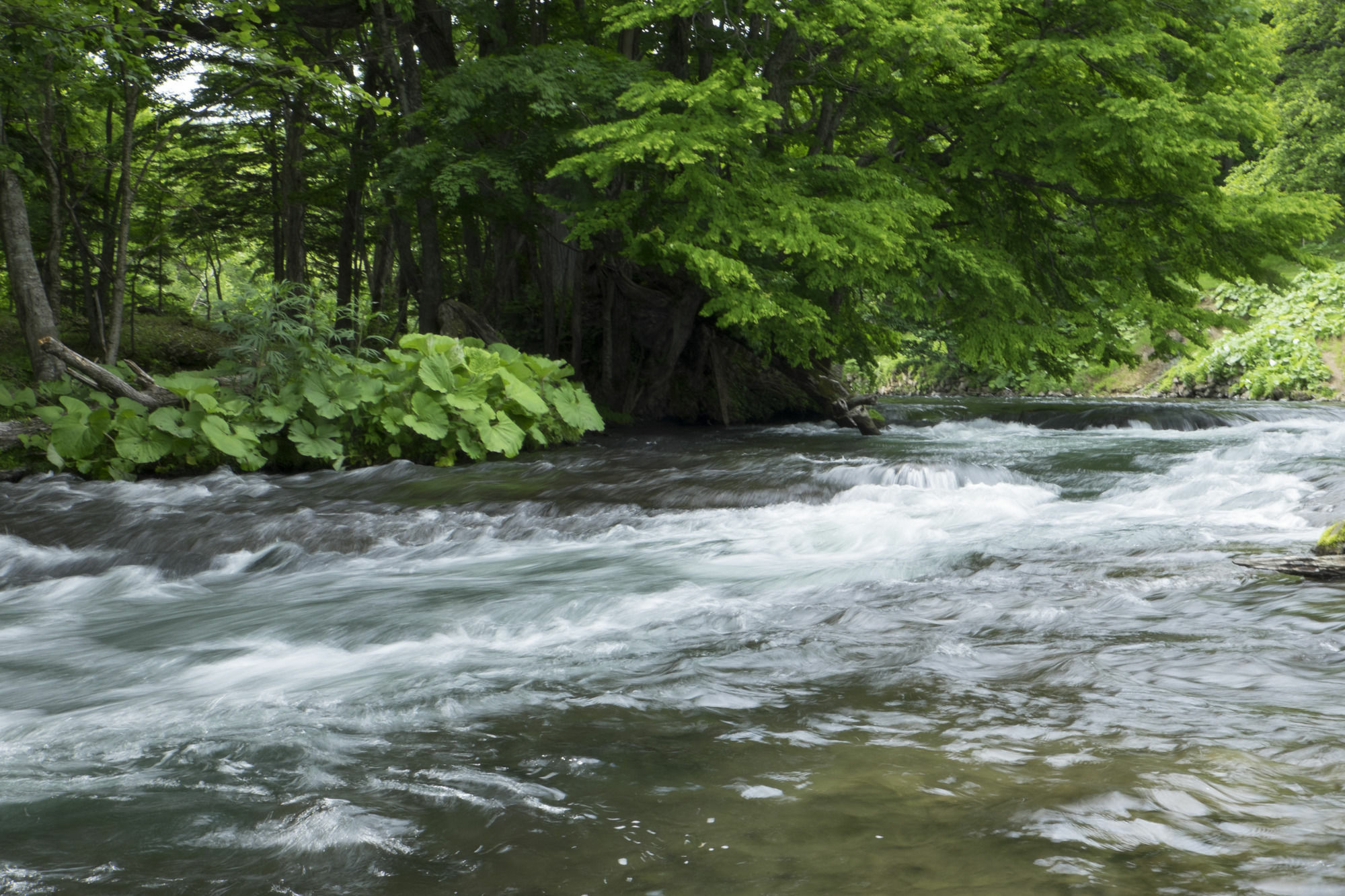 La Vista Akangawa (Adults Only) Akankohan Екстер'єр фото